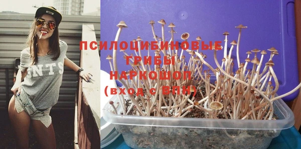 соль ск Алзамай