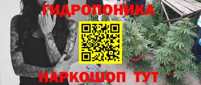 спиды Коммунар