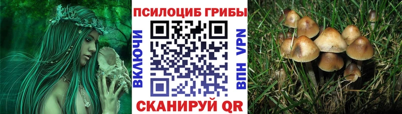 Галлюциногенные грибы мицелий Кинель