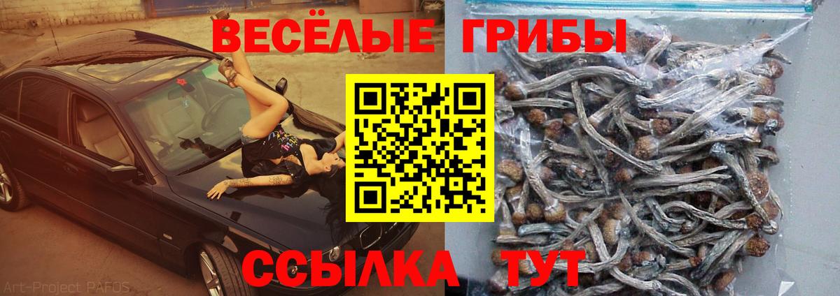Галлюциногенные грибы мухоморы  Галлюциногенные грибы Psilocybine cubensis  Вход с VPN  где купить наркоту  Кинель 